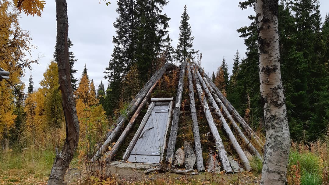 Torvkåta i skogen