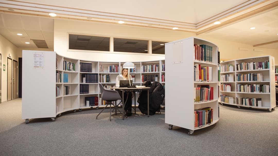 Book shelves