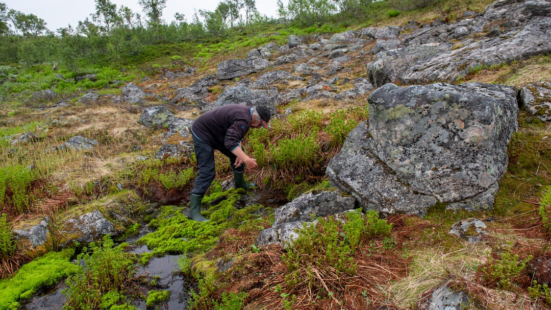 En man hämtar färskvatten i en kallkälla. 