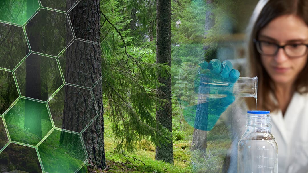 A montage of an image of a forest and a woman in a laboratory environment.