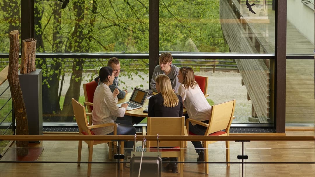 Internationalisering, IRO, internationella studenter, utbytesstudenter, utbytesstudier 