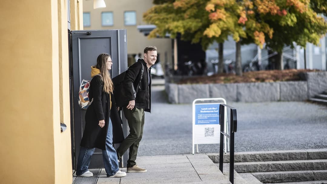 Studenter i campusmiljö.