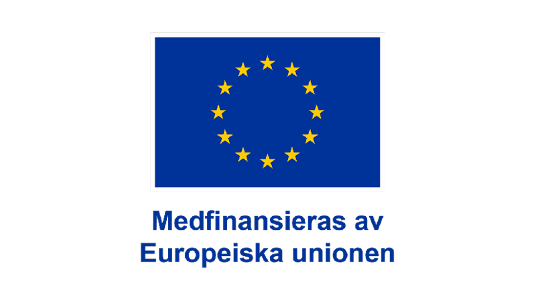 Medfinaniseras av EU