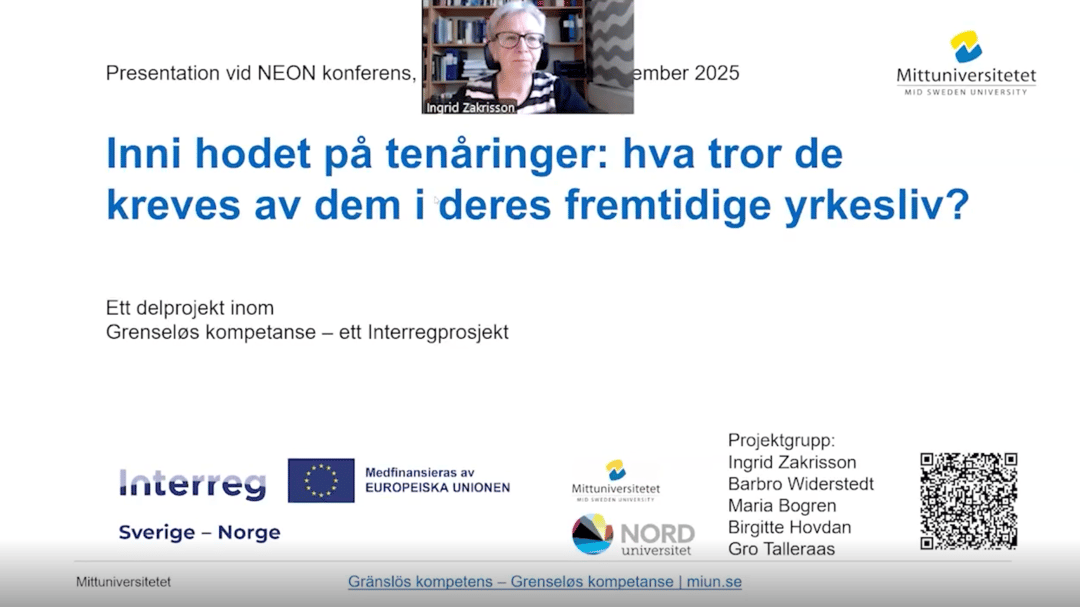 Gränslös kompetens föreläsning skärmbild