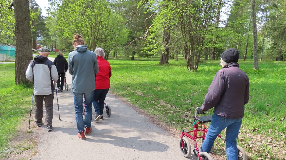 En grupp äldre personer går tillsammans med en yngre person på promenad i en grönskande park, några med rullator och någon med stavar.