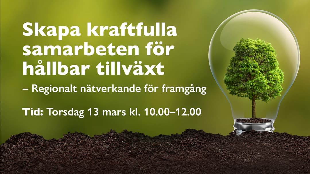  Vignette with white text against a green background and an illustration with a tree in a light bulb.