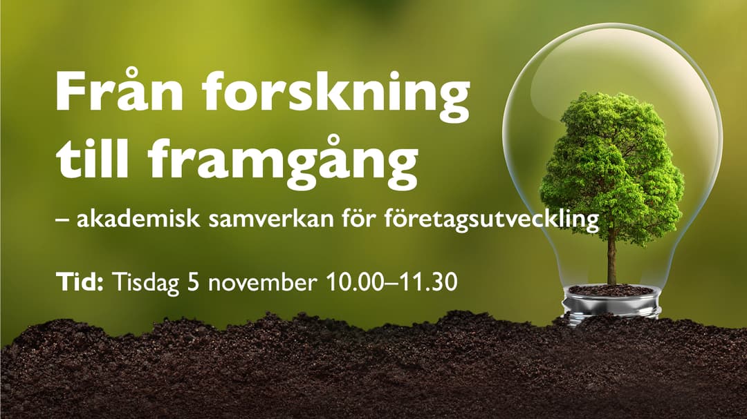 An image with a forest green background containing information about an upcoming seminar. In the picture there is also an illustration with a tree inside a light bulb.