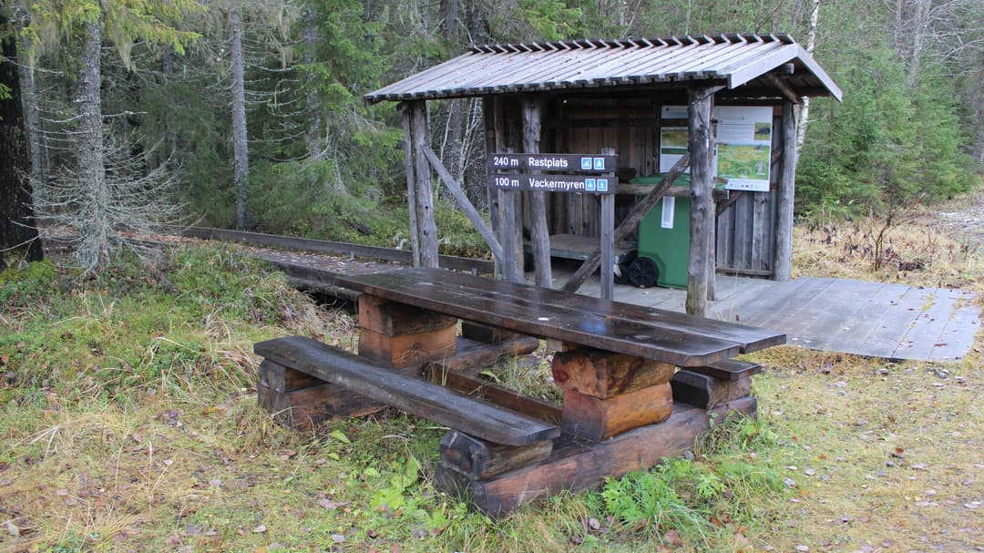 Tillgänglighet naturturism