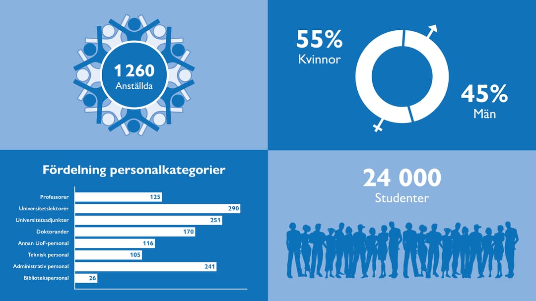 Grafik över antal anställda och studenter 
