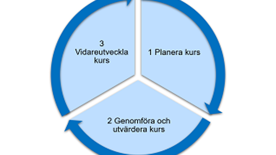 Kurshjul (litet)