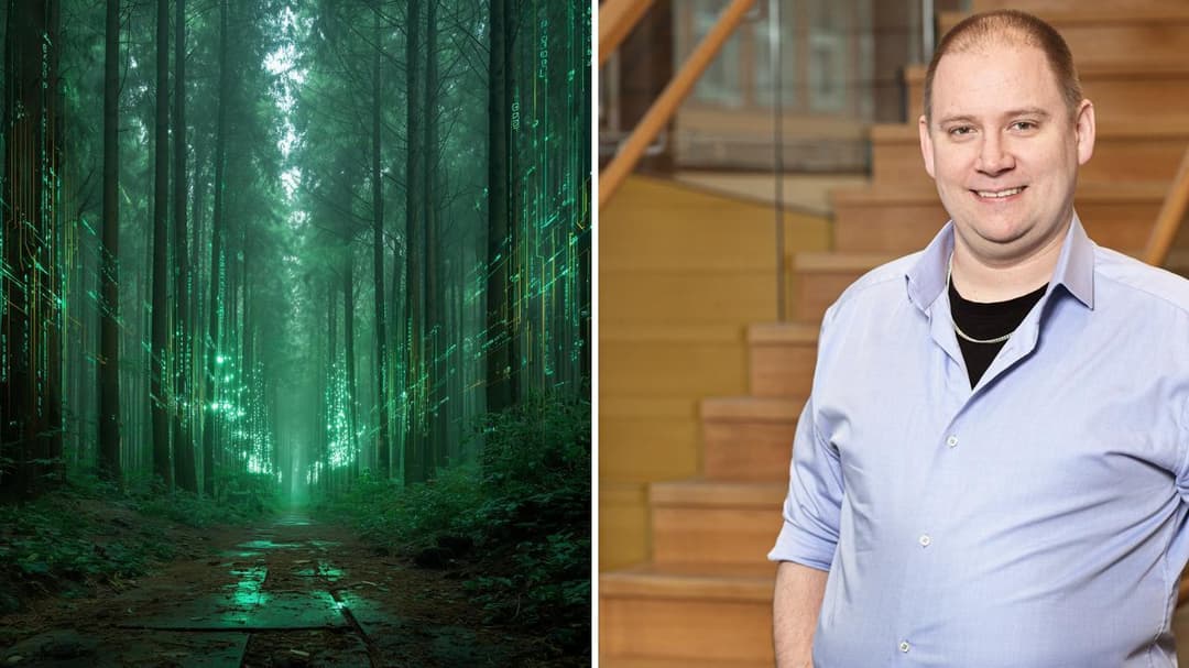En tvådelad bild med en grön skog och en man med ljusblå skjorta