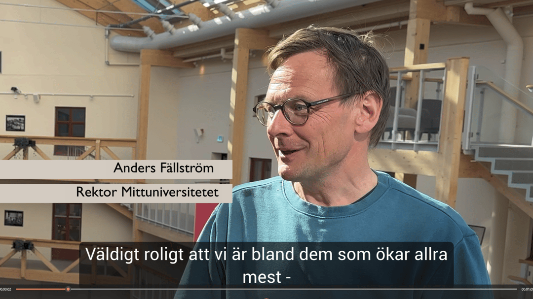 Man i skärmklipp från en inspelad intervju.