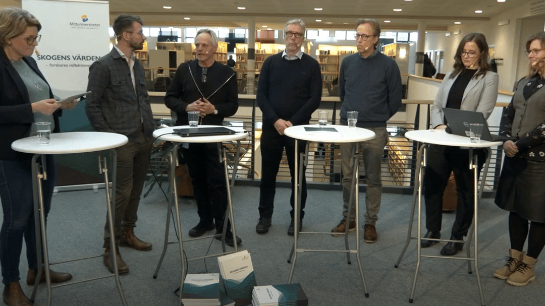 skogens värden seminarium 4