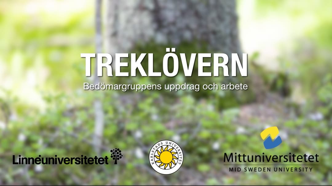 Ett suddigt foto av ett träd baland gräset med texten "Treklövern "Begömargruppens uppdrag och arbete" med logotyperna Linneuniversitetet, Karlstads universitet och Mittuniversitetet