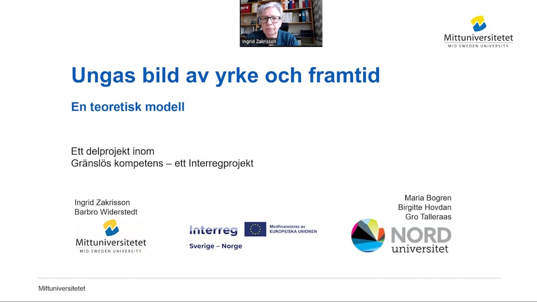 Försättsbild: Presentation om delstudie i projektet Gränslös kompetens