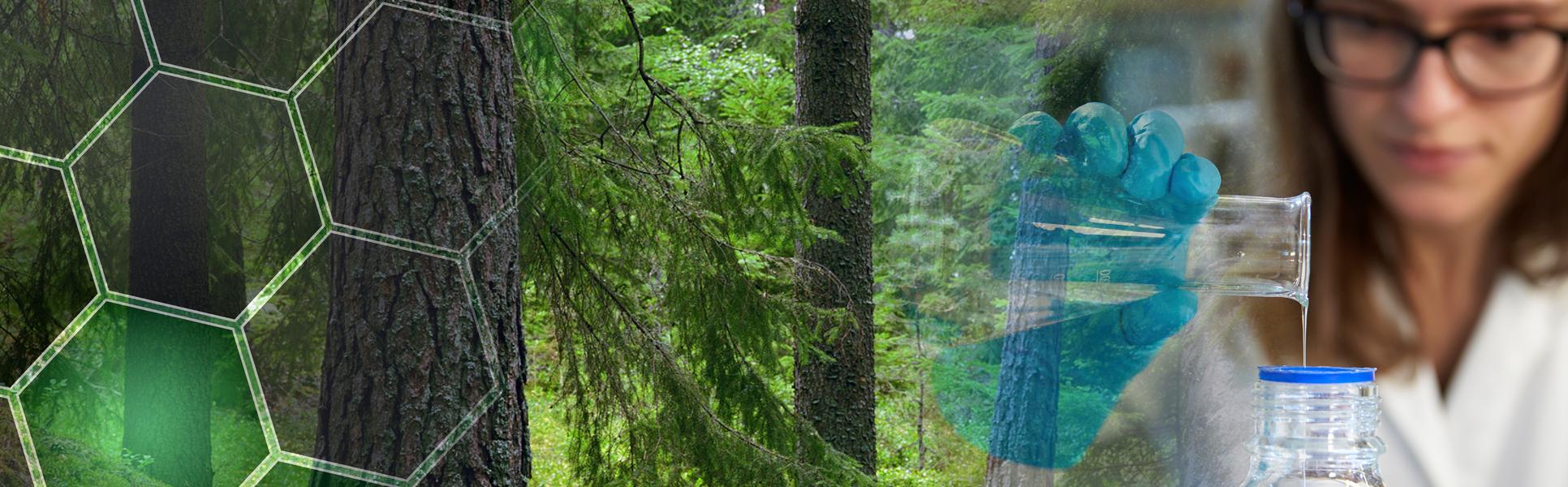Montage av bild på skog och kvinna i laboratoriemiljö.