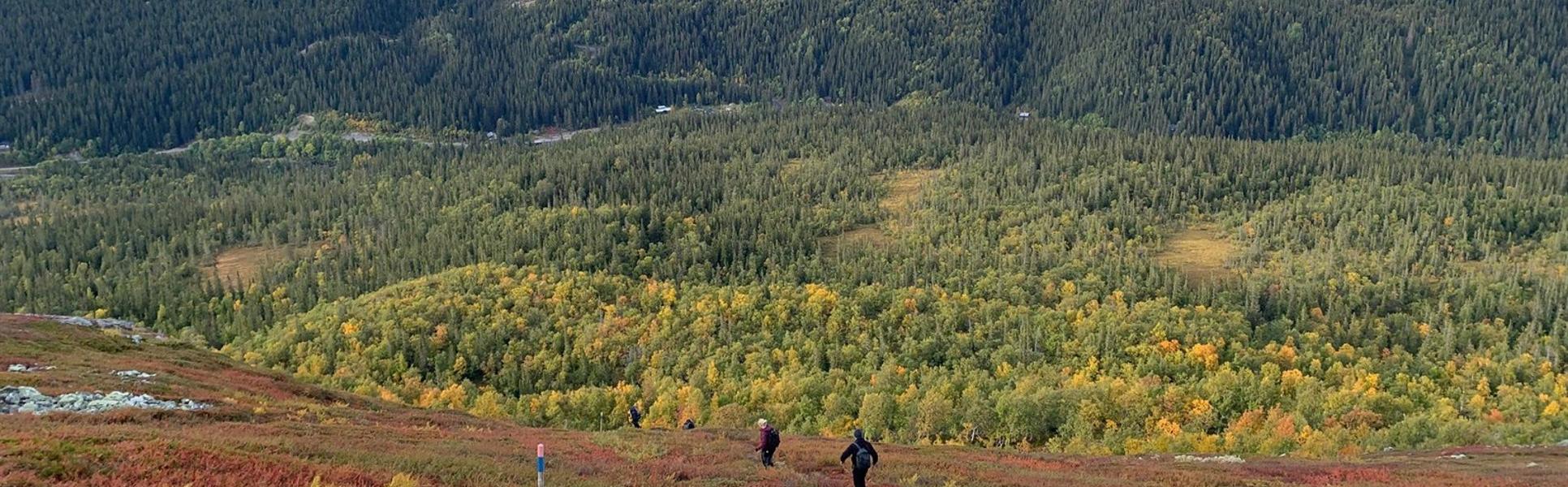Fjällvandring i Bydalen