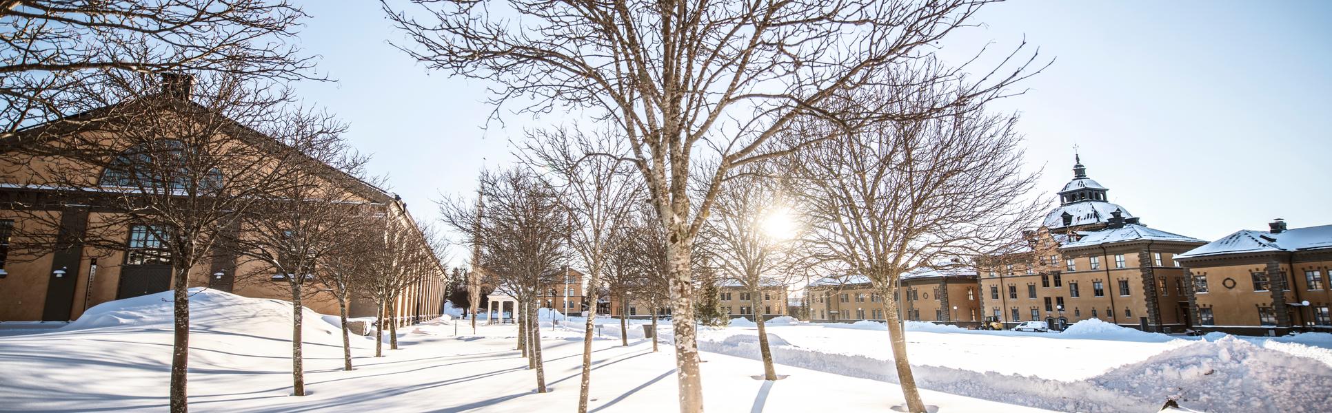 Campus Östersund, exteriör 