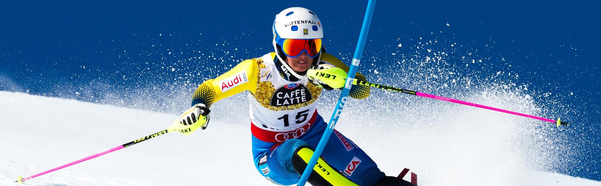 Flyer - Alpine Skiing Photo 2.jpg