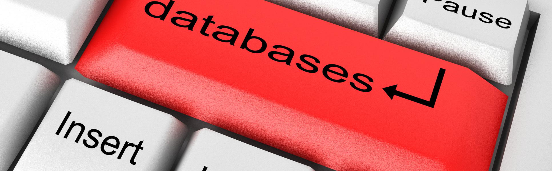 Databaser