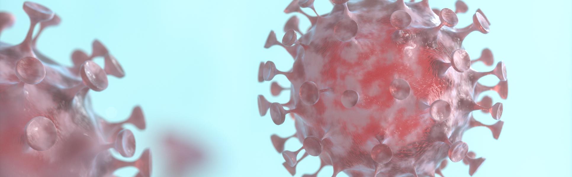 Corona virus