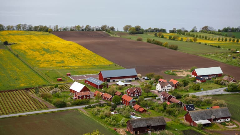 En samling med byggnader i landsbygd med åkrar runt om.