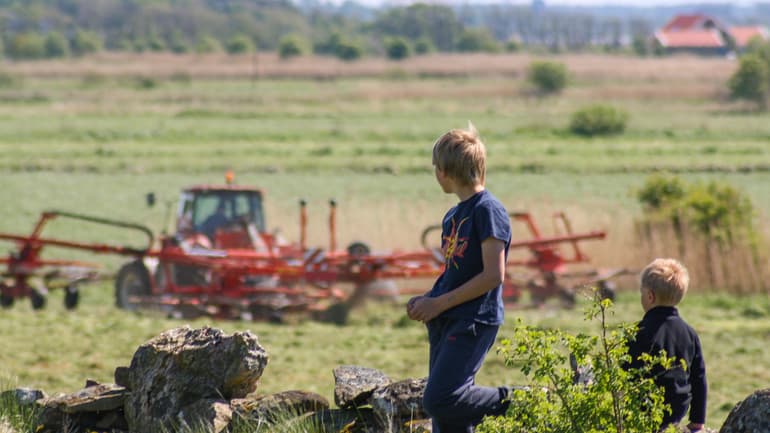36343263-two-boys-watching-farming-work-silvertid.jpg