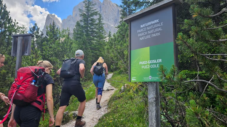 En grupp vandrare går längs en sommargrön led i bergskedjan Dolomiterna. De är iklädda fritidskläder.