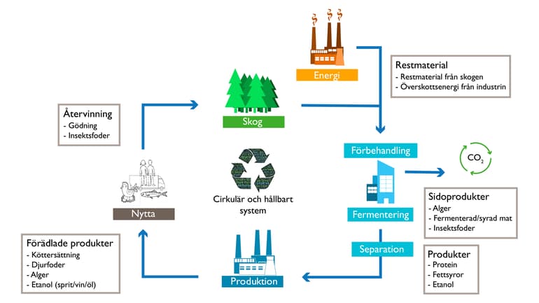 Foodtech fermentering illustration.jpg