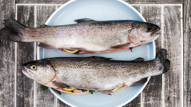 Fisk på ljusblå  tallrik