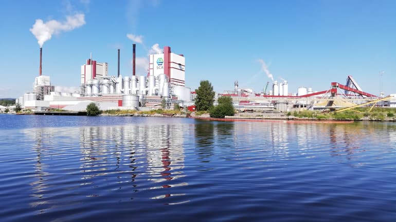 SCA plant by the water.