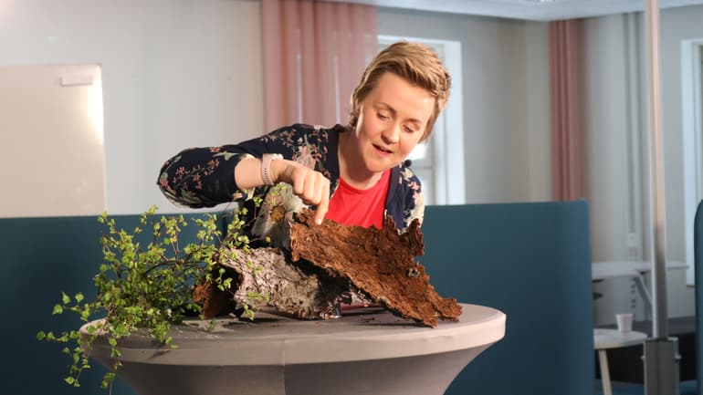 Forskaren Matilda pekar på en granbarkborre på et barkblad