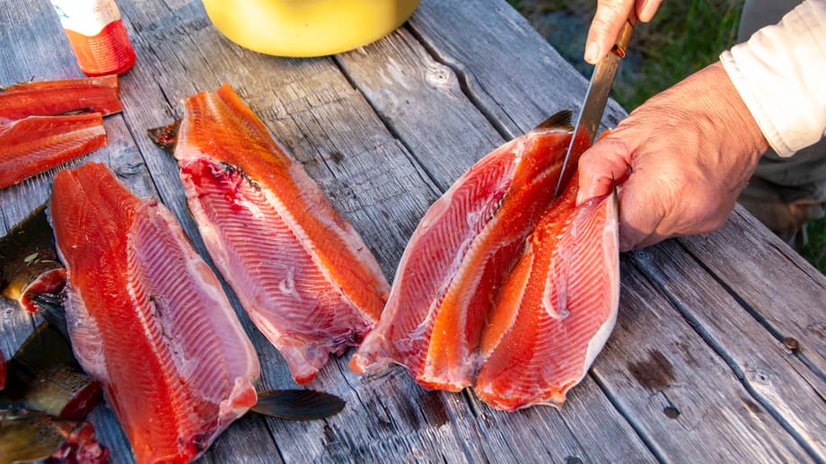 Fiske på sommarboplatsen i Såaloegorre.