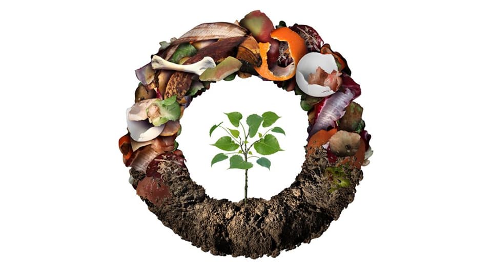 Composte Life Cycle Symbol