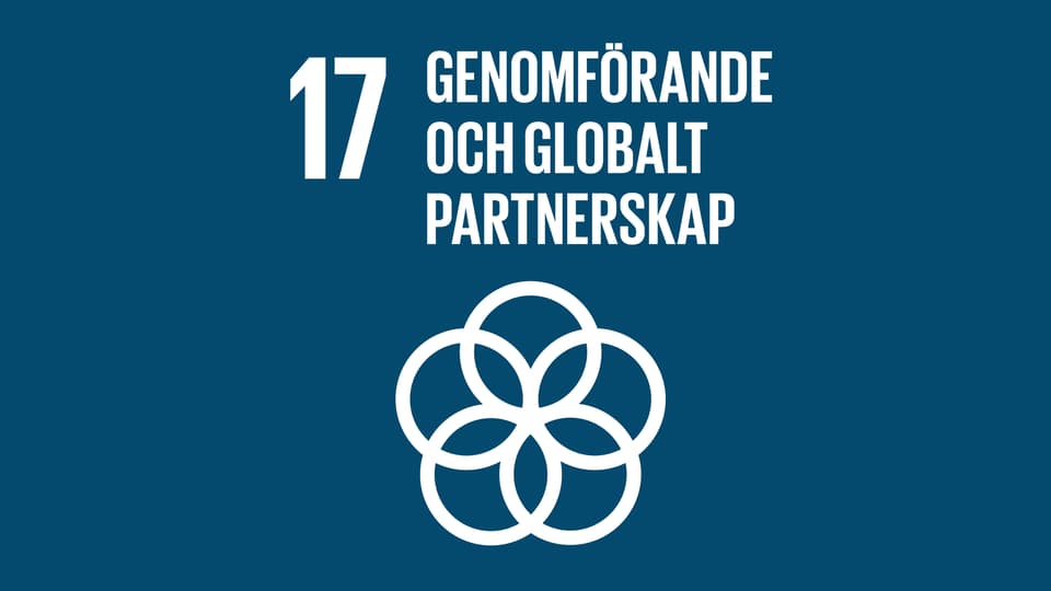 Globala målen