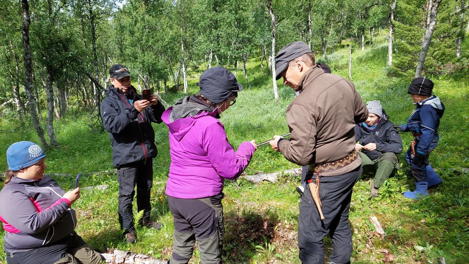 Två personer studerar ett jordprov i en jordsond i en fjällbjörkskog. Fyra personer ser på. 