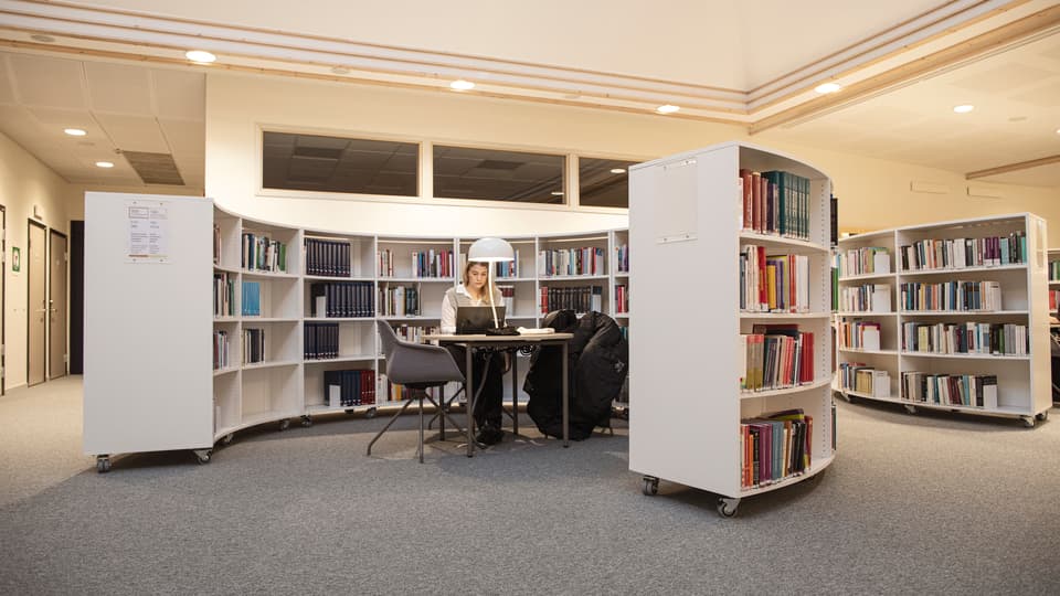 Book shelves