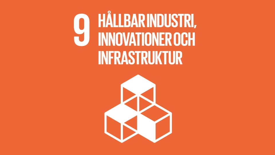 Globala målen