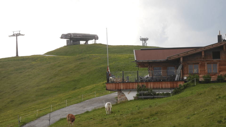 Boskap betar på en alpäng intill en byggnad. 