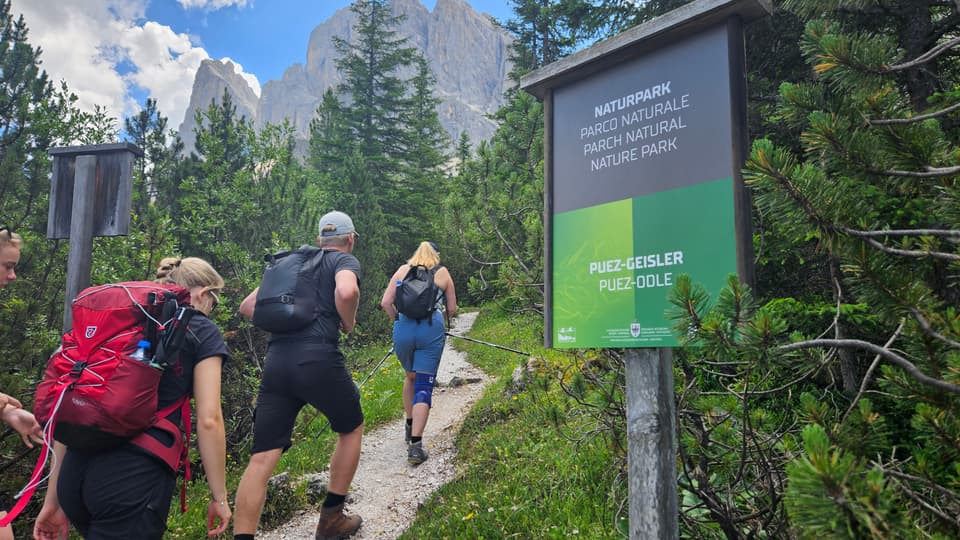 En grupp vandrare går längs en sommargrön led i bergskedjan Dolomiterna. De är iklädda fritidskläder.