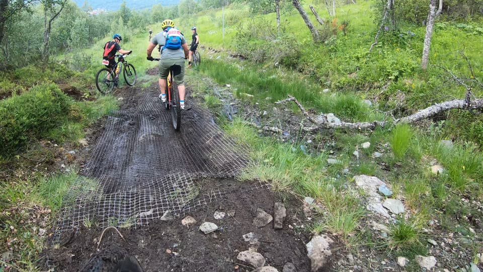 Fyra personer som cyklar på en led i fjällmiljö