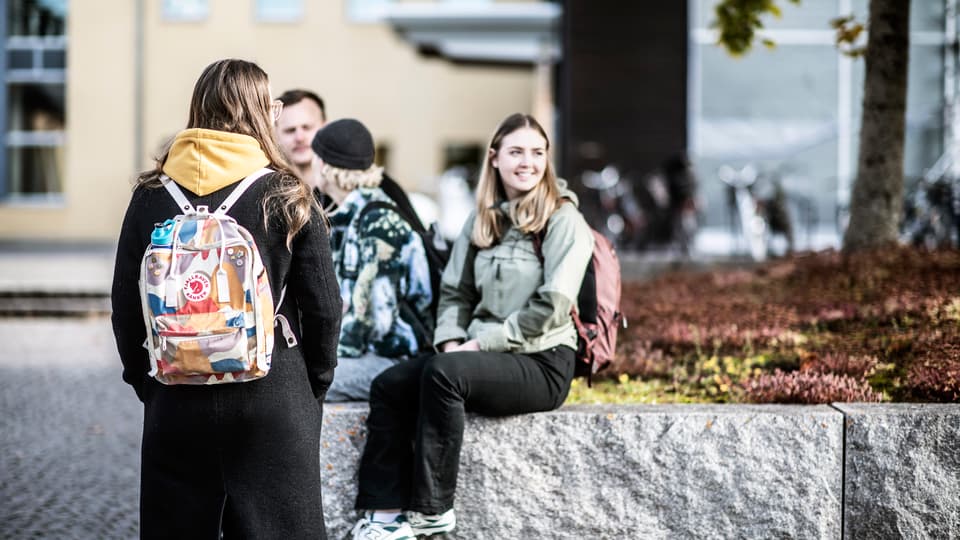 Studenter i campusmiljö.