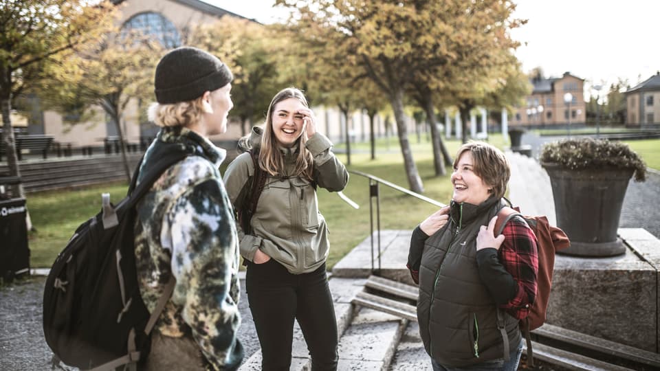 Studenter i campusmiljö.
