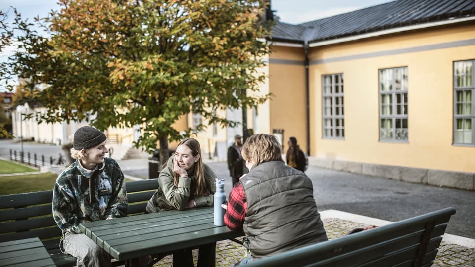 Studenter i campusmiljö.