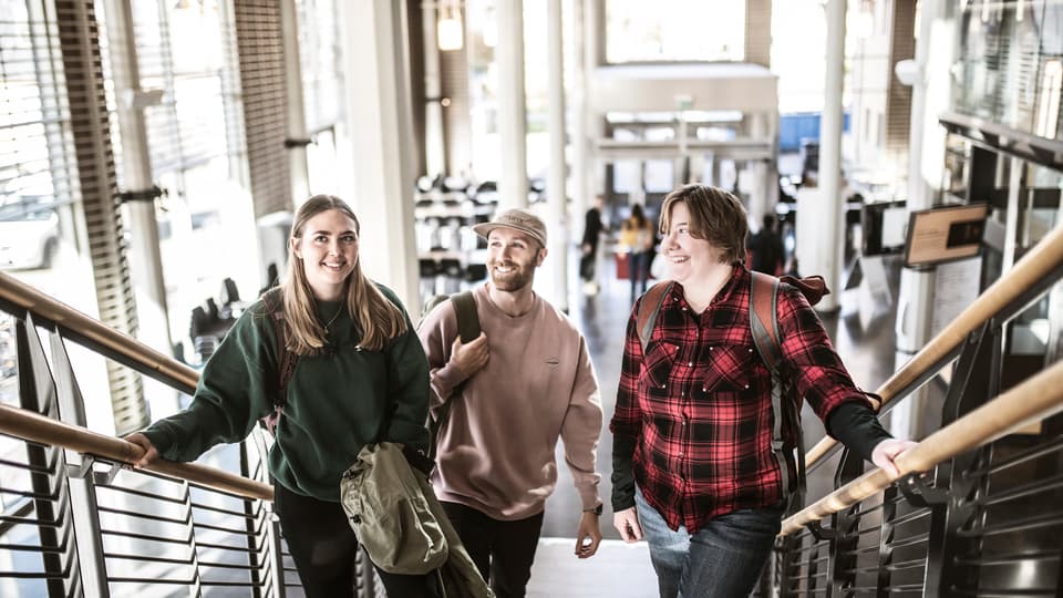 Students in a campus environment.