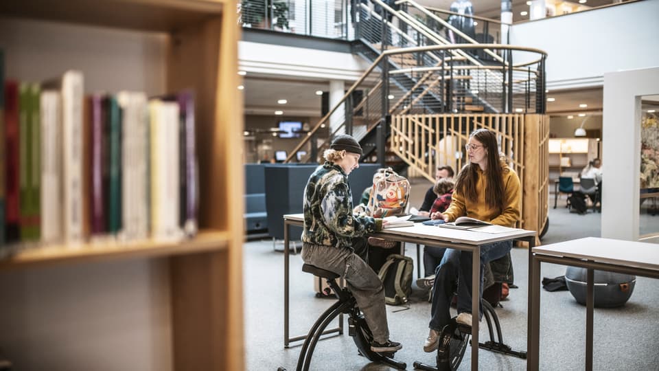 Studenter i campusmiljö.