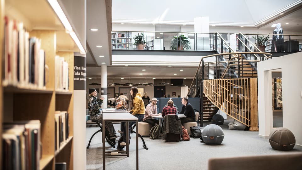 Studenter i campusmiljö.