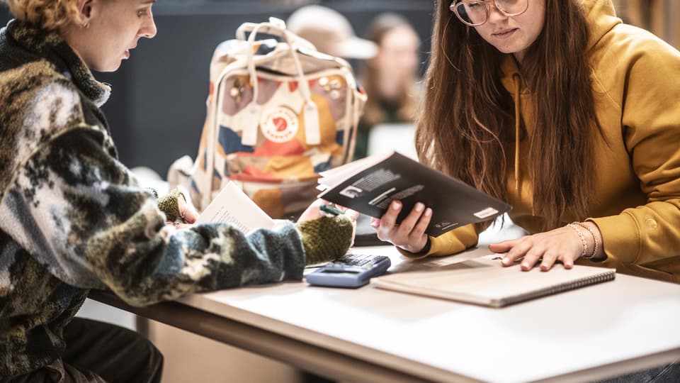 Studenter i campusmiljö.