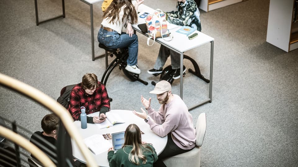 Studenter i campusmiljlö.