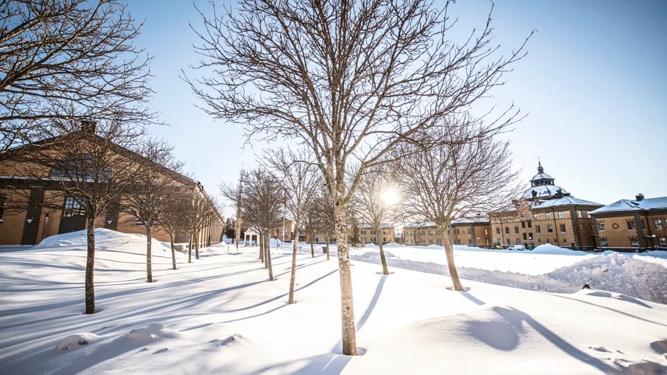 Campus Östersund, exteriör 